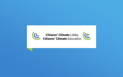 Video: Carbon Pricing & Clean Electricity Standards En-ROADS Simulation